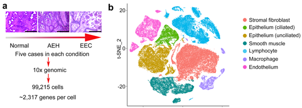 /officialwebsite/images/2022/11/15/249deae48842ec1fb0c1ca26e87ab84a.png 微信图片_20221115171037.png